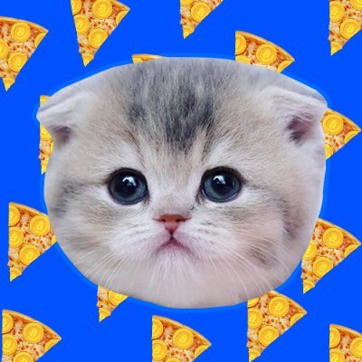 Wid PizzaCat neuw u get to hev a $SLICE of de grrretest felinecial revvvulution in de hisstrrry uf menkind. I am $SLICE the pizzazzz cat. Meoooowww.