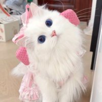 ネコ (@suifx815) 's Twitter Profile Photo ネコ (@suifx815) 's Twitter Profile Photo