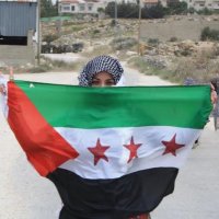 ارشيف مخيم اليرموك | زينة(@ps_syr2011) 's Twitter Profile Photo