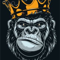 Medieval Guerrilla (@medievalgore) Twitter profile photo