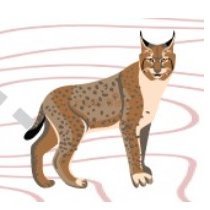 ProwlBobcat's profile picture. South Windsor High School’s student news source.