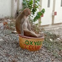 Oxygen Club(@OxygenClub4) 's Twitter Profile Photo