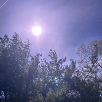 zandercantread's profile picture. I just retweet and post my iguana. His name is greg.