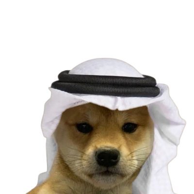 habibiasa's profile picture. Habibi! Come to Dubai, is a meme project Bringing together the fun nature of the arabs and the dubai spirit on algorand.