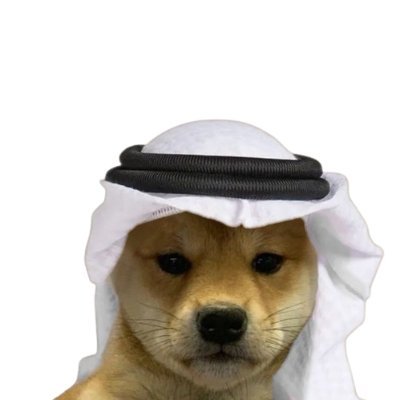 Habibi! Come to Dubai, is a meme project Bringing together the fun nature of the arabs and the dubai spirit on algorand.