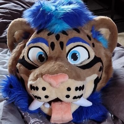 🐯🦁 RAION 🦁🐯 / 🏳️‍🌈 /
Ban by @Noohm7 / fursuit made by @StellaGryphon
