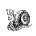 SnailLord (@gael_snail) Twitter profile photo SnailLord (@gael_snail) Twitter profile photo