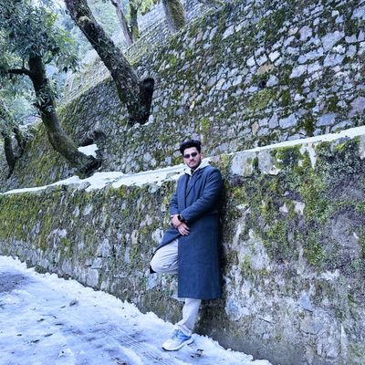 DushyantKr17's profile picture. Software Developer 🧑‍🎓