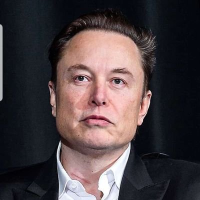 Elon Musk Parody Account. Crypto Invevestor - Memecoins. $Doge