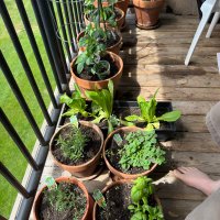 James Bonistalli (@jamesbonistalli) 's Twitter Profile Photo