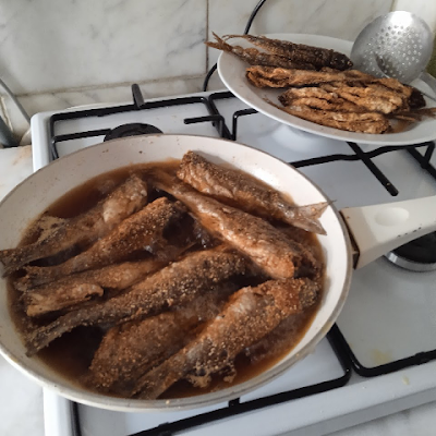 AbanGokce's profile picture. 