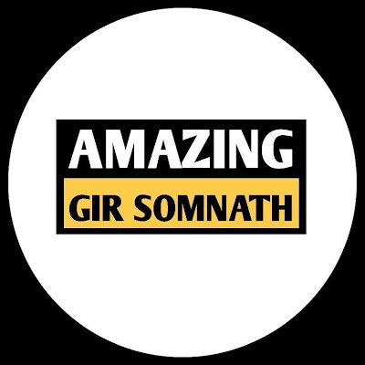 AmazingG33343's profile picture. NEWS |  FOOD | EVENTS | PHOTO | CULTURE