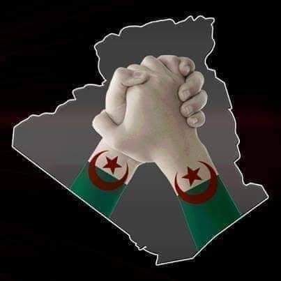 BrjSolitaire's profile picture. 