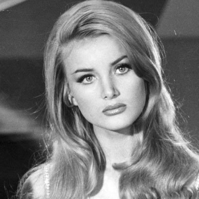 Tchoinkolt's profile picture. yes