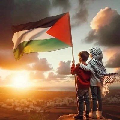 RElshoubaky's profile picture. مصر تشهد أحلك فتراتها التاريخية سوادآ اللهم إغفر لنا وأرحمنا ولا تحملنا ما فعل السفهاء منًا