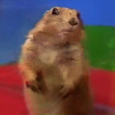 degen_exposer's profile picture. Vro…