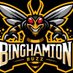 BinghamtonBuzzNA3HL (@BingoBuzzNA3HL) Twitter profile photo