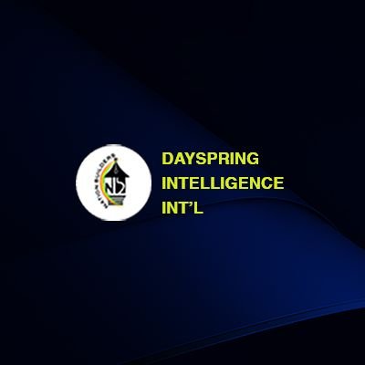 DAYSPRING INTELLIGENCE INTERNATIONAL