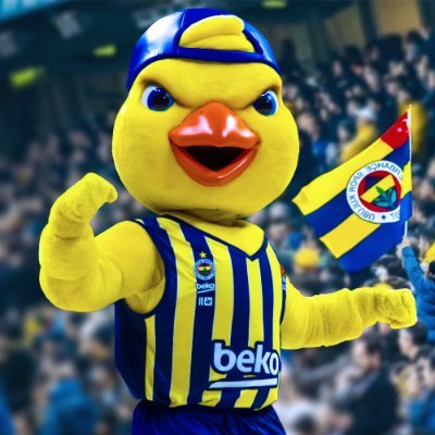 💙 Gerçek Fenerbahçe Taraftarı 💛