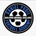 Daniel Pudil Football Academy (@pudil_academy) Twitter profile photo