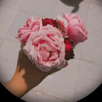 الاء حسن (@alaakandil90) 's Twitter Profile