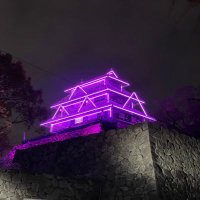 こはく (@surarin_0069) 's Twitter Profile