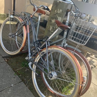 Adepta da cultura urbana da bicicleta 🚲🚲🚲🌱🌱🌱para que nasça um Código da Rua, que discipline o espaço público, humanizando as nossas cidades