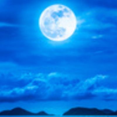 openthenext1's profile picture. 