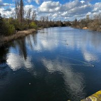 MM (@malhis_mimona) 's Twitter Profile