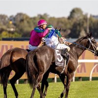 Aust. Jockeys Assoc. (@jockeysassoc) 's Twitter Profile