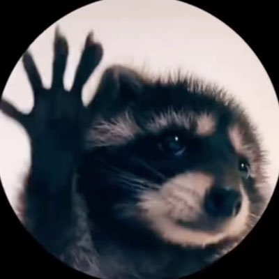 raggedwalnut5's profile picture. Yo