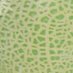 melon_no_soup