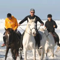 André Lima (@andrelima0705) 's Twitter Profile