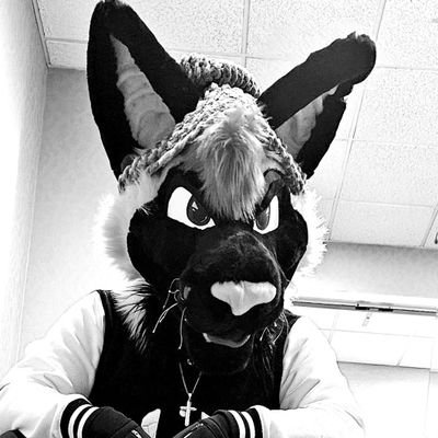 I'm Greenie
/ 23 he
/ 💚 Taken
/ Dad™
/ Multi-suiter
/ Retired
/ 1/24/24🖕