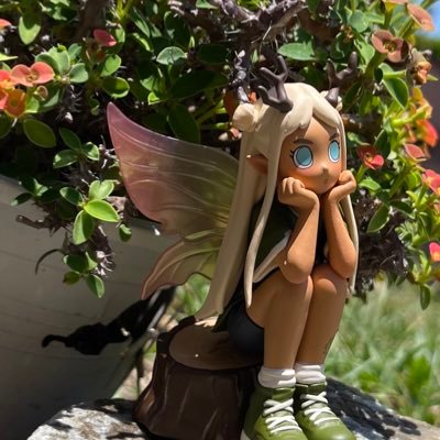 wandayさんのプロフィール画像