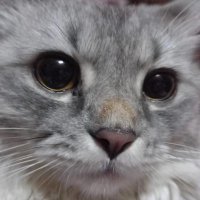 S. (@itsbecauseiyawn) 's Twitter Profile Photo S. (@itsbecauseiyawn) 's Twitter Profile Photo