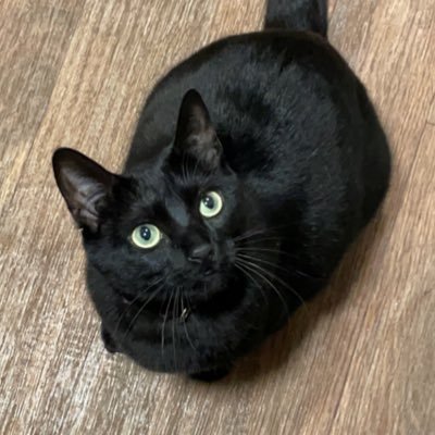 PlayinHighTX's profile picture. 