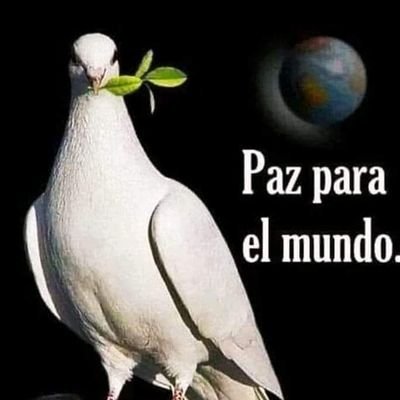 #SoyDel41% #RespetoLaVidaToda#BastaDeTalarBosques
#BastadeTaS
#VivoEnParteDel40%DeLaSup DeTigreLibreDeCantriss