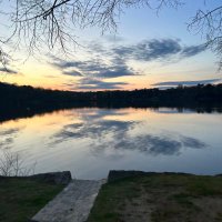 Lindsay Sage (@lindsaysage2000) 's Twitter Profile