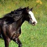 DonCrabtree9's profile picture. Just a crabby Baptist, loves the Bible, the truth and religious liberty. Ardent investigator. RETIRED!!!