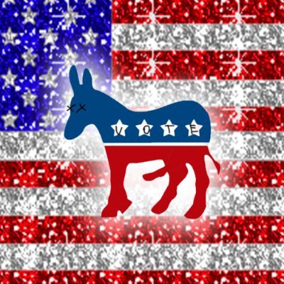 @boden4pres political party, vote for #dumocrats 2024