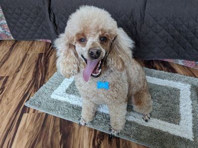 chaswmig's profile picture. 