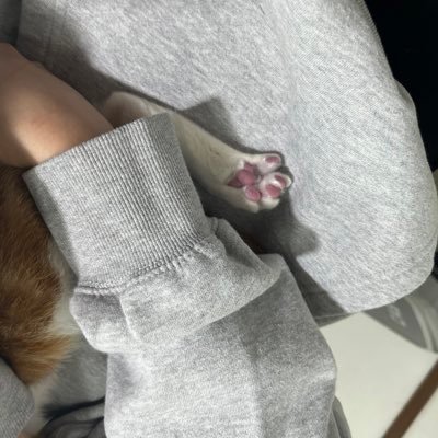 Cooingly_JS's profile picture. 