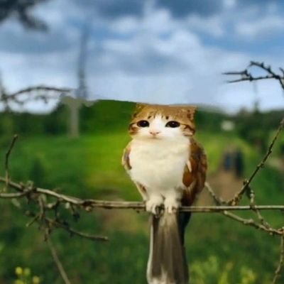 account owned by a big corporation, I'm only here in spirit