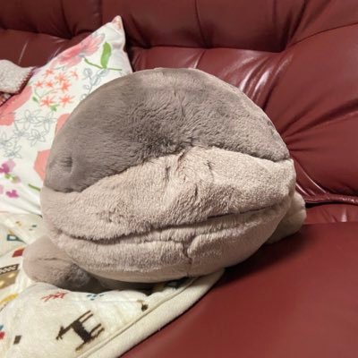 lcPkYWpJXanvYm2's profile picture. 