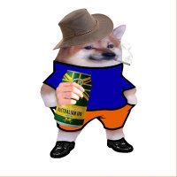 Damo (@damoau2) 's Twitter Profile