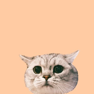 さどえさんのプロフィール画像