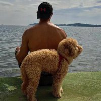 Rawstar (Kevin) (@rawstar431443) 's Twitter Profile