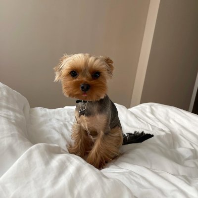 millie_0018's profile picture. Instead of lowering your expenses, try increasing your income. Instead of praying for a dull life, it is better to pray for a stronger life.