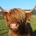 Hamish (@hamish5555555) Twitter profile photo Hamish (@hamish5555555) Twitter profile photo